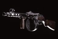 A look at the PPSh-41 (Image via Activision)